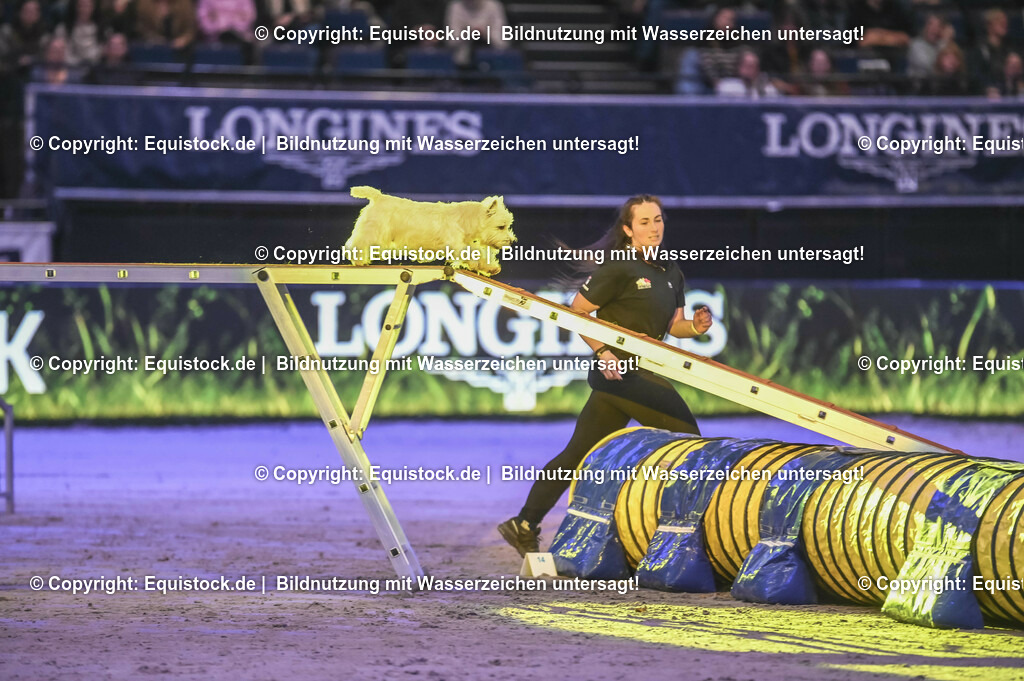 20231115_Dog-Agility_0075_TOMsPiC | Foto: Thomas Hartig