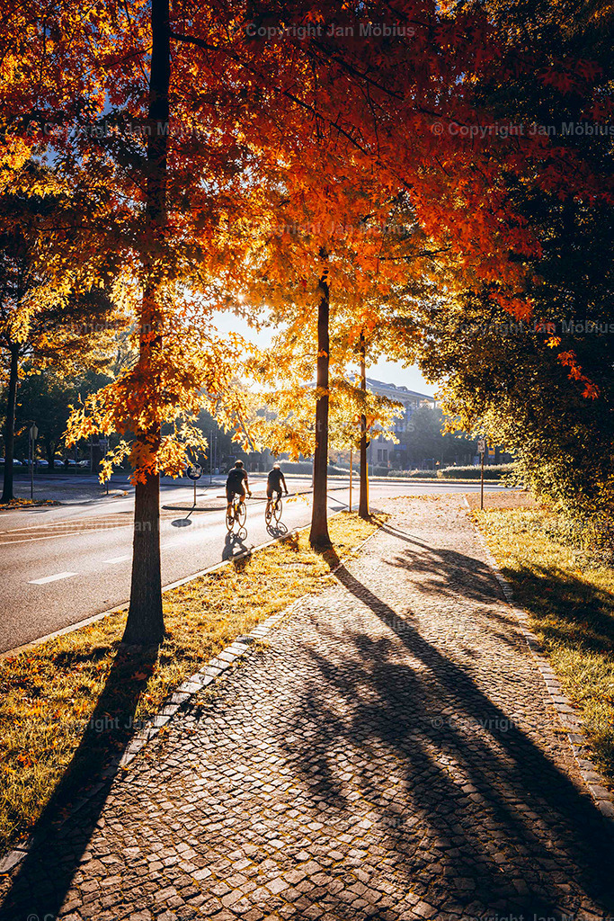 Clara Park | Der Clara-Zetkin-Park in Leipzig ist ein beliebter Ort für Natur, Sport und Erholung – perfekt für Spaziergänge, Jogging und entspannte Stunden im Grünen. - Realisiert mit Pictrs.com