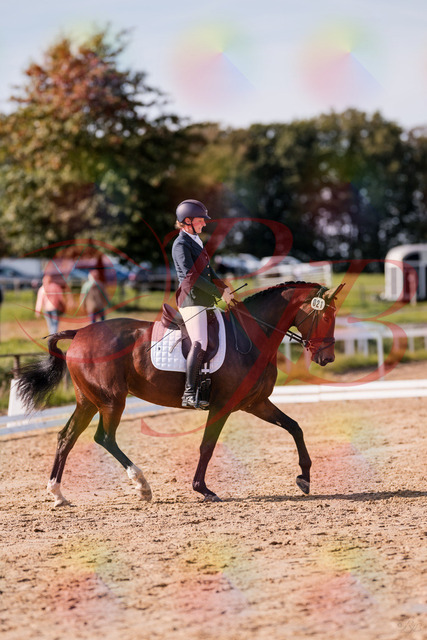 2026_10_03_Siefer-Hof_125505_Z81_43716512 | Professionelle Reitsport-, Turnier- und Eventfotografie von Robert Broda. Galerien mit ausgewählten und bearbeiteten Bildern direkt online ansehen und bestellen.