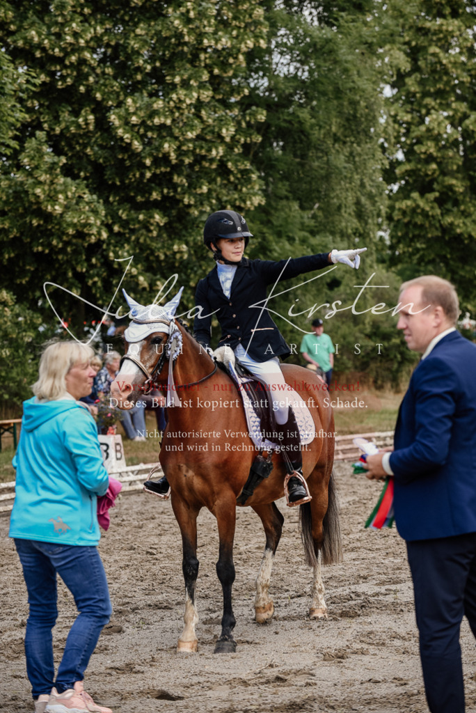 DSC_9348 | Pferde- und Turnierfotografie in Westsachsen. Pferdeportraits, Auftragszeichnungen und intuitive Kunst.