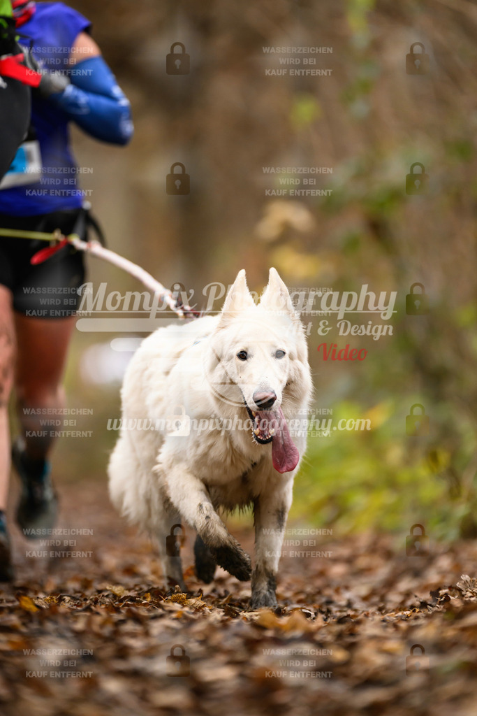 MompixPhotography_Eschau2024_CCC-101 | PayLife