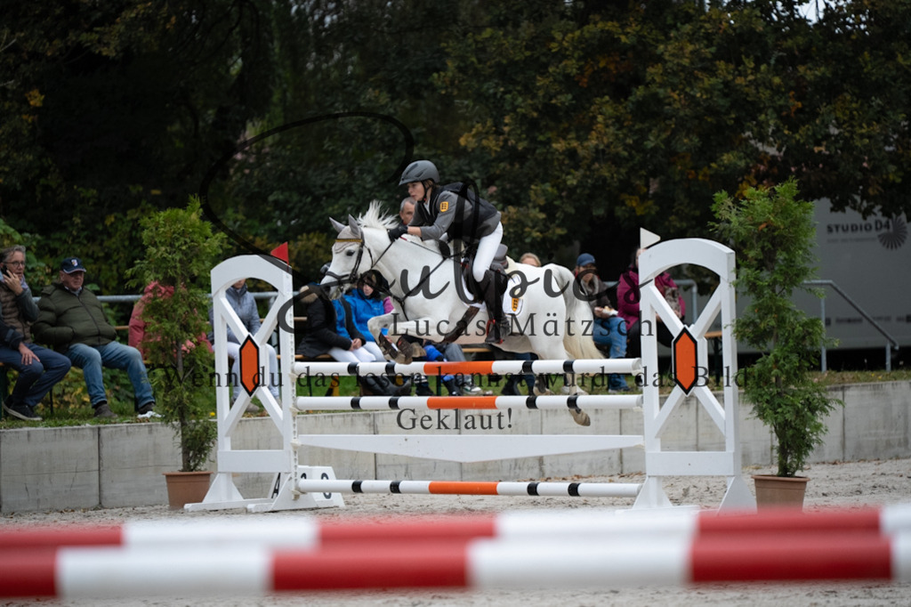 A7V08582 | Pferdefotograf