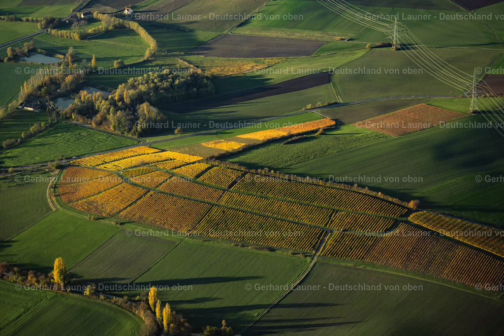 4042855 | Weinberge bei Castell, Weinlage Kirchberg, Hohnart