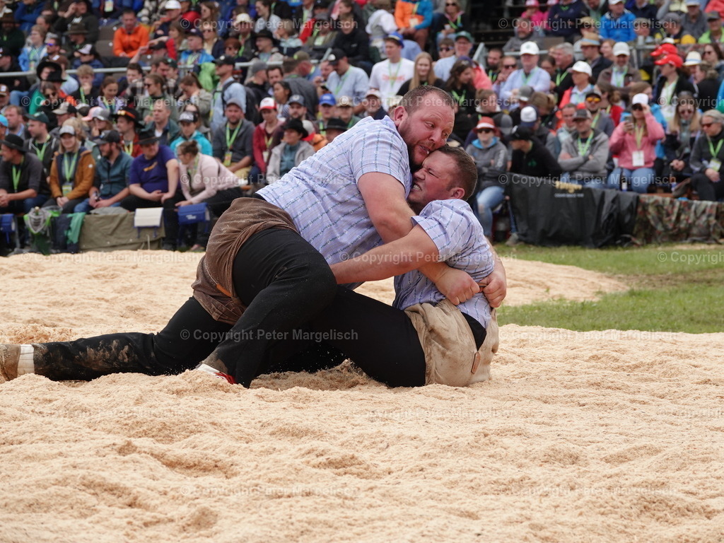 DSC08112 | Schwingen - Realisiert mit Pictrs.com