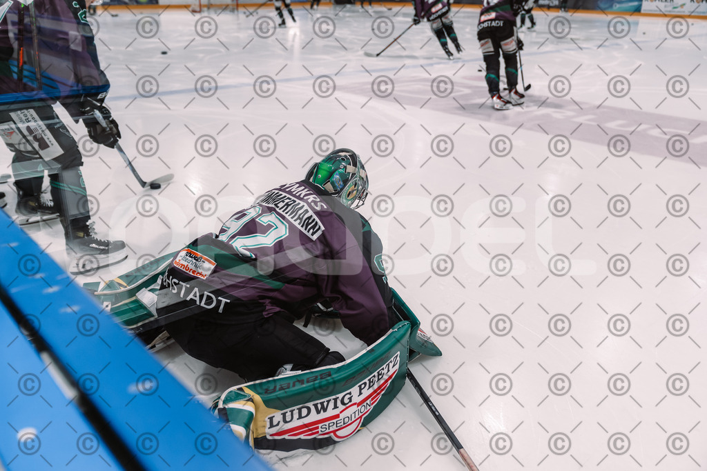 Alligators_vs_Stuttgart_16_11_2025-01 | Höchstadt Alligators Fotogalerie: Eishockey-Action aus Franken. Professionelle Spielfotos, Portraits & Stadionbilder zum Download. Jetzt entdecken! - Realisiert mit Pictrs.com