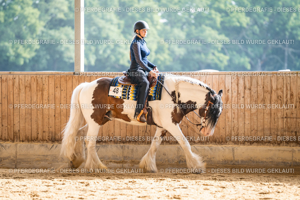 DSC08151 | Pferdegrafie