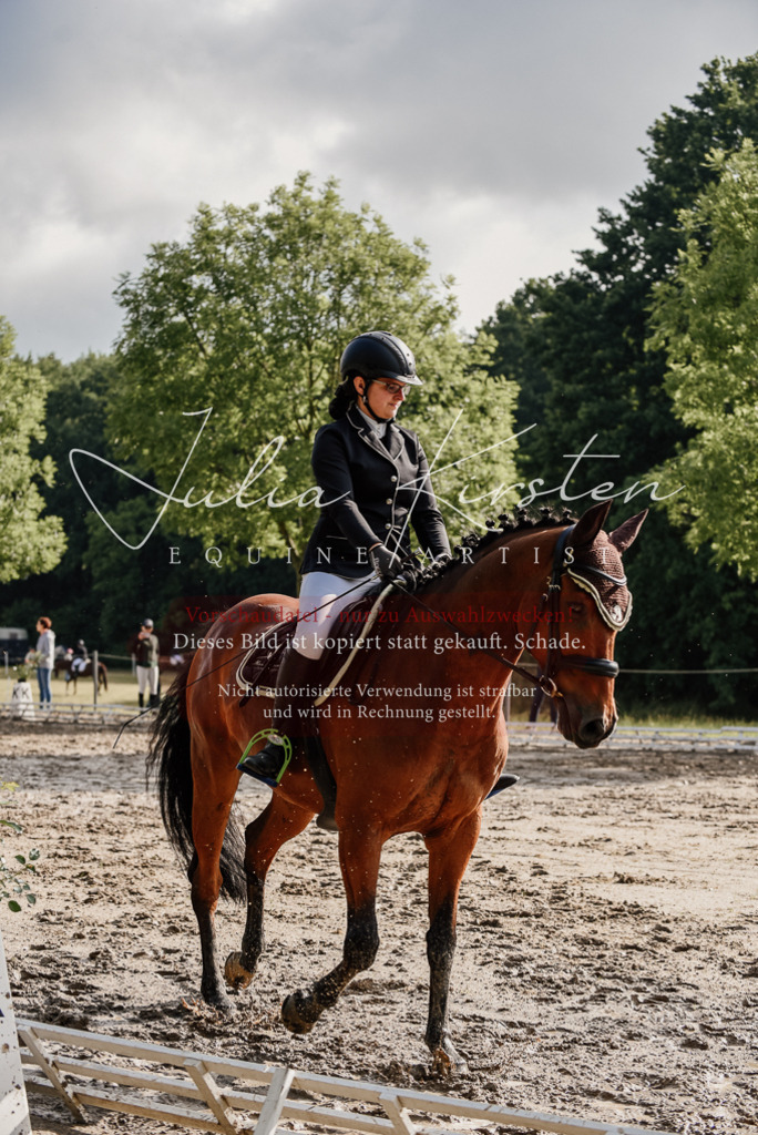 DSC_8475 | Pferde- und Turnierfotografie in Westsachsen. Pferdeportraits, Auftragszeichnungen und intuitive Kunst.