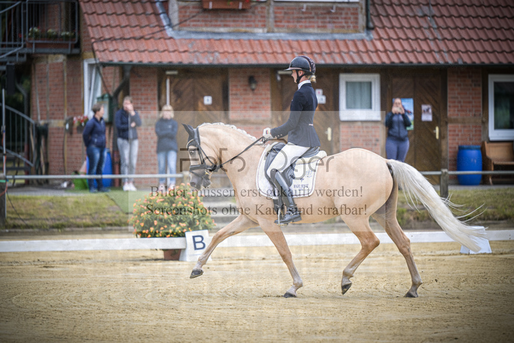 DOS_5231 | Entdecke hochwertige Reitturnierfotos von Foto Oger. Professionell, emotional und authentisch – jetzt Lieblingsmomente im Shop bestellen.Deutschlandweite Turnierfotografie. - Realisiert mit Pictrs.com