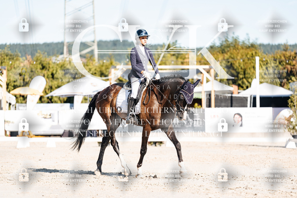CK907474 | Turnierfotografie Pferdefotografie Trier Rheinland-Pfalz Pferdesport Reitsport Tierfotografie Sportfotografie Pferdevideo Pferdevideografie Equestrianvideography equestrianphotography  - Realisiert mit Pictrs.com