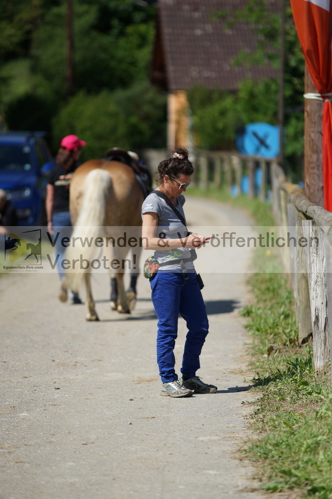 DSC06176 | equestrian-live-com