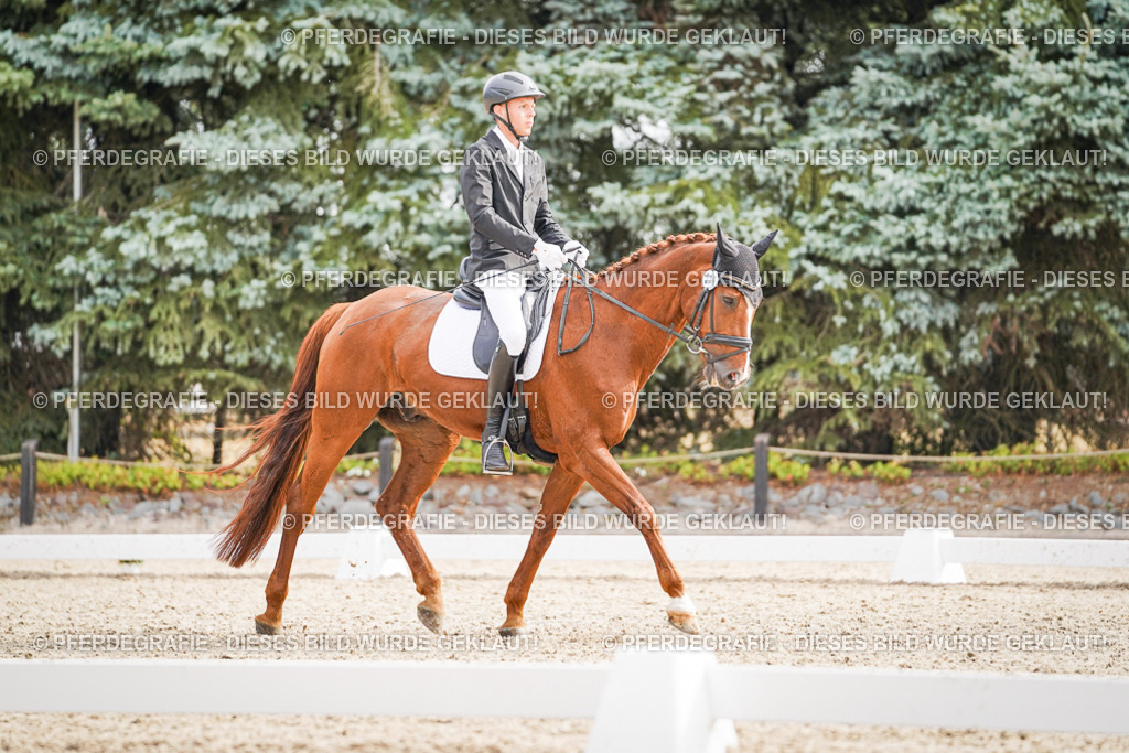 DSC01605 | Pferdegrafie