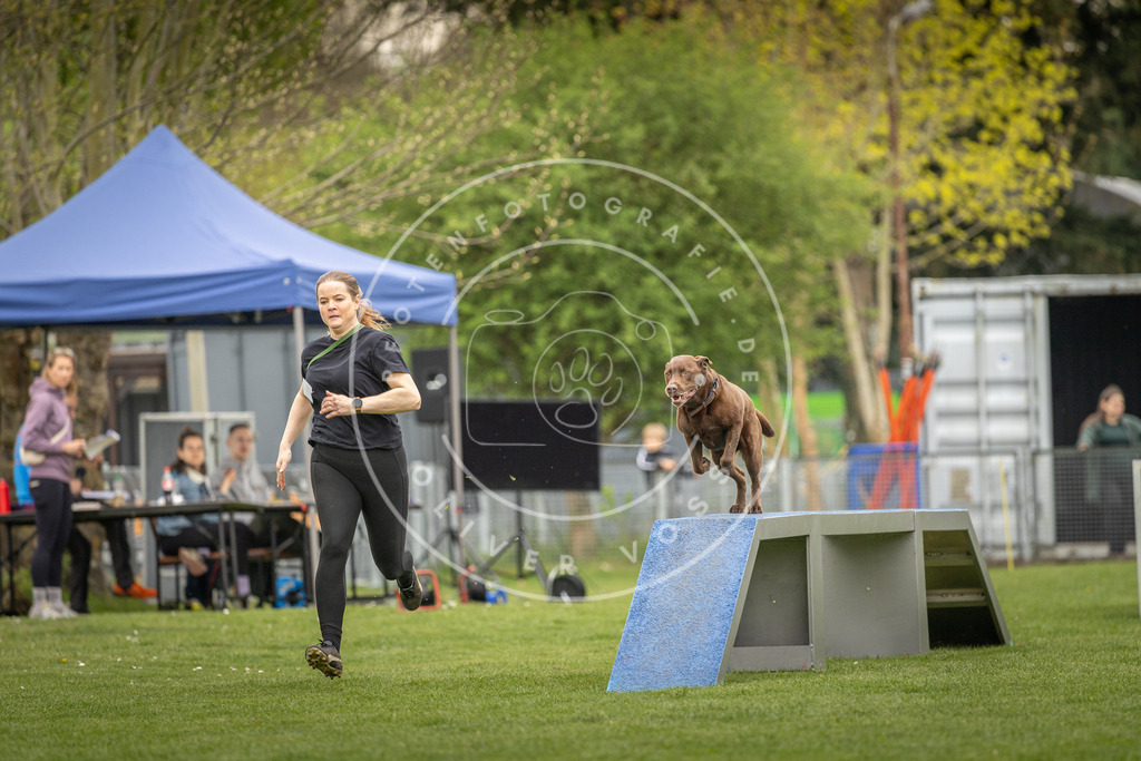 Pfotenfotografie_DV3A0981 | Hundefotografie, Tierfotograf, Pfotenfotografie, Fotoshooting Hund, Hunde Portrait, Hundesport, Hundeportraits, Heideshooting, Hunde, Sportfotograf, Hundefotograf, Turnierhundsport, THS,  - Realisiert mit Pictrs.com