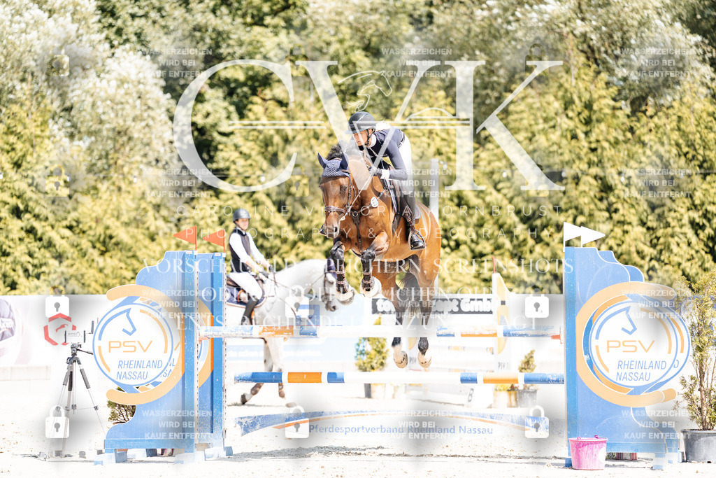 CK900868 | Turnierfotografie Pferdefotografie Trier Rheinland-Pfalz Pferdesport Reitsport Tierfotografie Sportfotografie Pferdevideo Pferdevideografie Equestrianvideography equestrianphotography  - Realisiert mit Pictrs.com