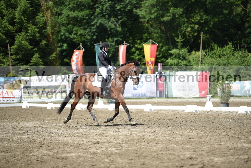 DSC_0450 | equestrian-live-com