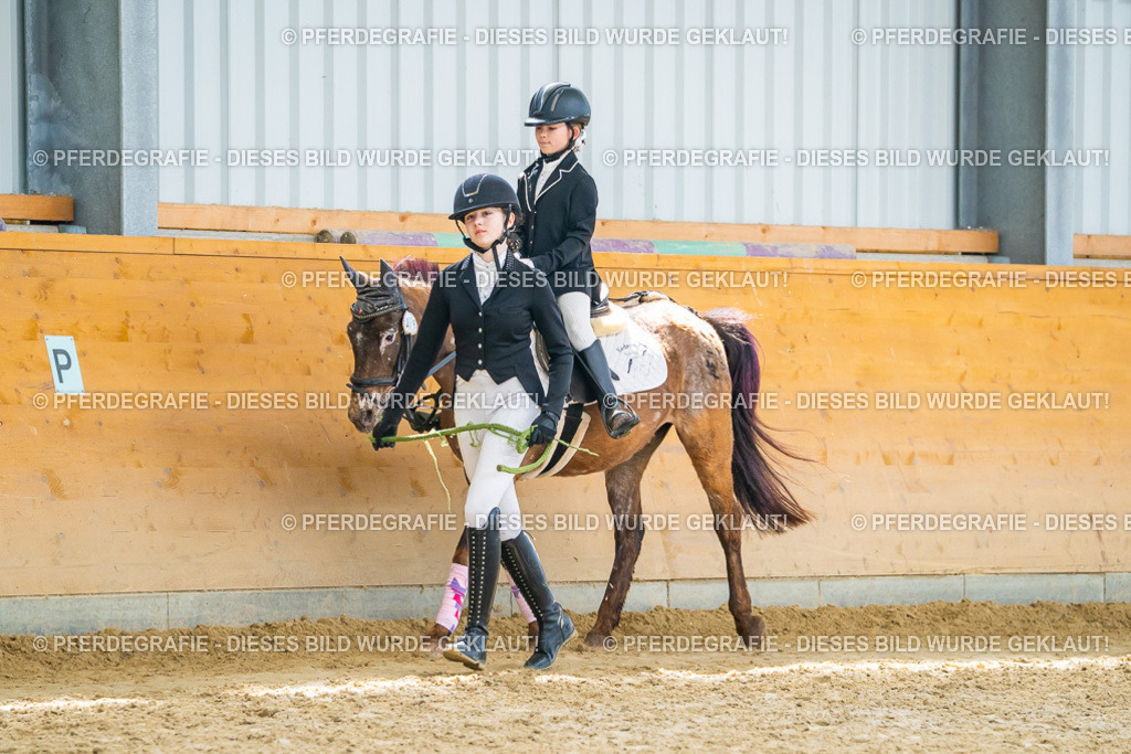 DSC00654 | Pferdegrafie