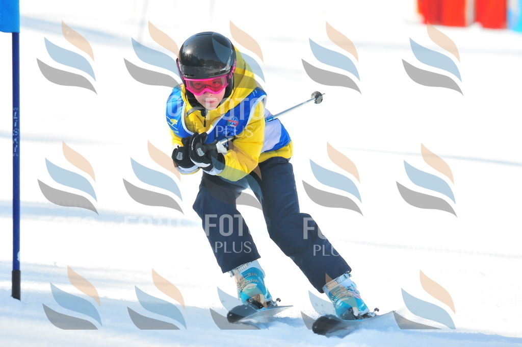 B8796 | holidayphoto