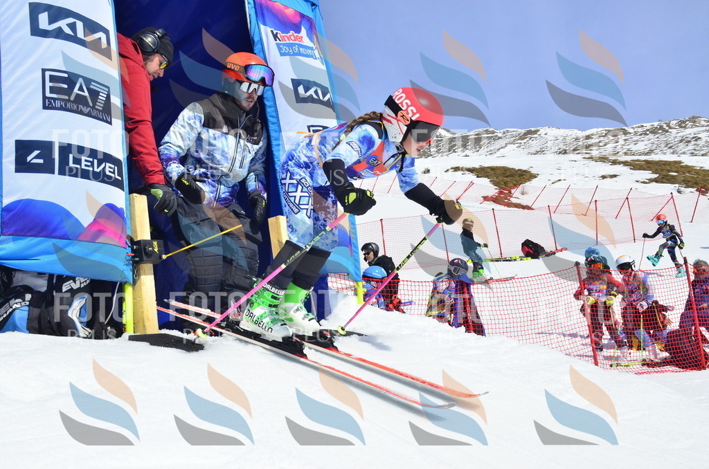 _ELE1214 | holidayphoto