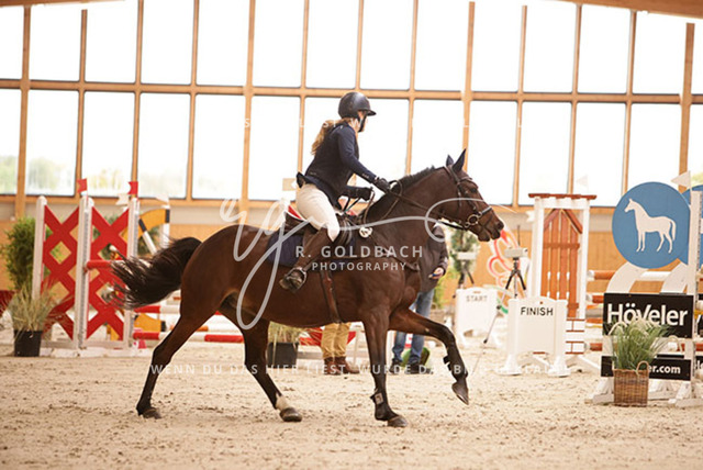 1J2A2537Lotte Zopff_ Namika 6_ Kn394_ Hohen Wieschendorf_ Glantz | Foto- und Videografie für alles rund ums Pferd. Hochwertige Bilder und Videos vom Spring- und Dressurreiten, Voltigieren & mehr. Jetzt aktuelle Veranstaltungen und Preise im Shop ansehen. - Realisiert mit Pictrs.com