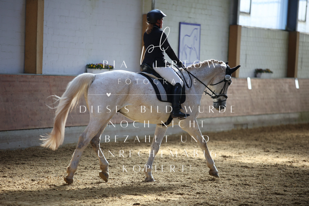 IMGT6494 | pl-fotografie