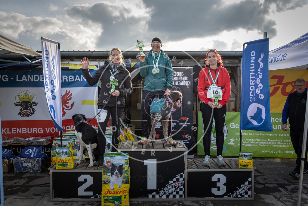 0L8A9122 | Hundefotografie, Tierfotograf, Pfotenfotografie, Fotoshooting Hund, Hunde Portrait, Hundesport, Hundeportraits, Heideshooting, Hunde, Sportfotograf, Hundefotograf, Turnierhundsport, THS,  - Realisiert mit Pictrs.com