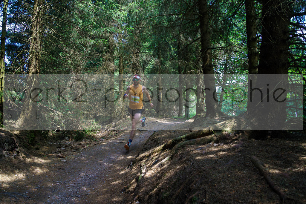 Rennsteig-Staffellauf 2023 | Rennsteig-Staffellauf - Hörschel bis Blankenstein - 17. Juni 2023