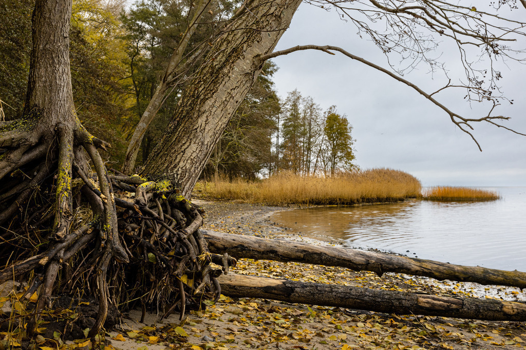 Zierow im Herbst | Ruhige Herbststimmung am Ostsee-Ufer von Zierow in Mecklenburg-Vorpommern im November 2023 - Realisiert mit Pictrs.com