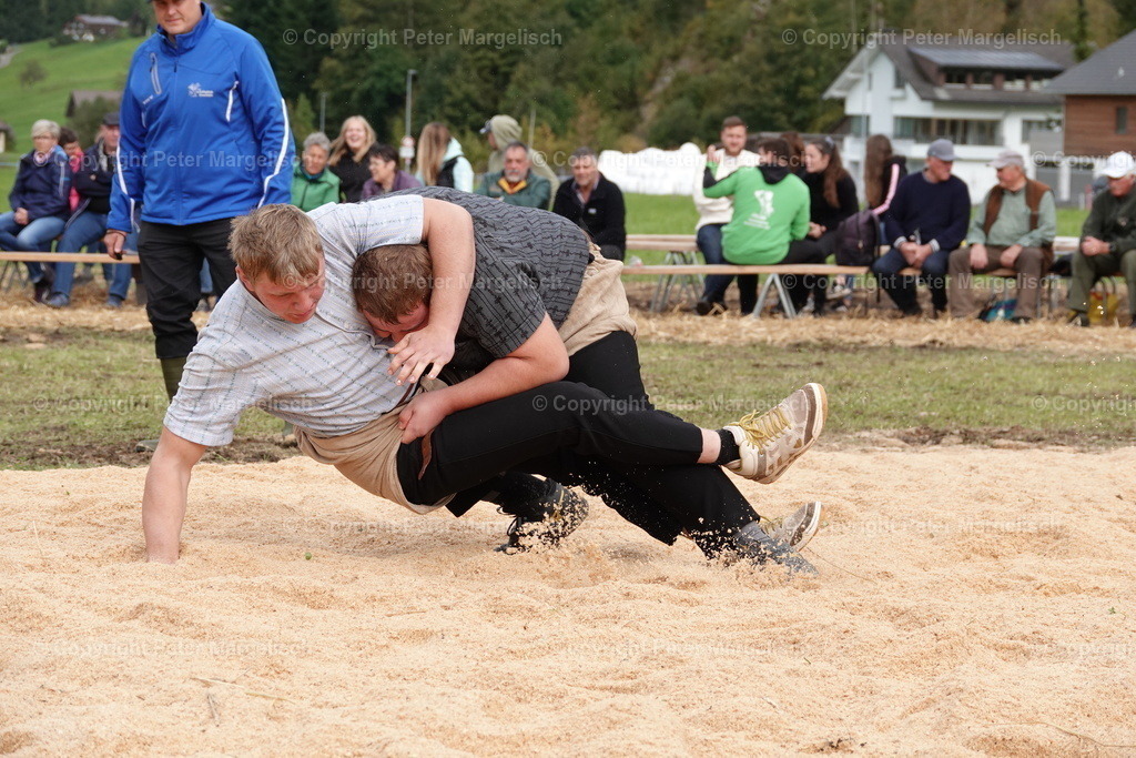 DSC00093 | Schwingen - Realized with Pictrs.com