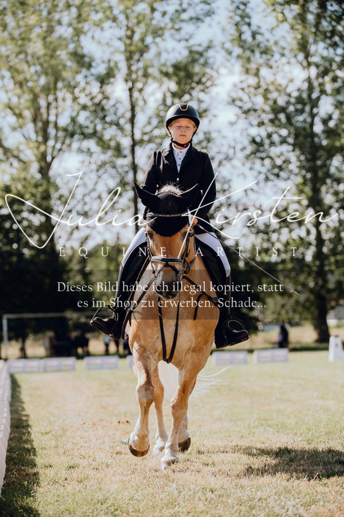 DSC_7059 | Pferde- und Turnierfotografie in Westsachsen. Pferdeportraits, Auftragszeichnungen und intuitive Kunst.