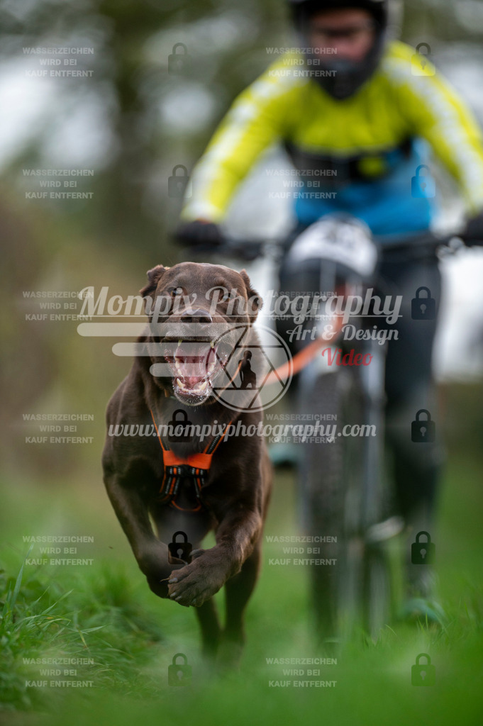TSB_2023_E8_Bike-80 | PayLife