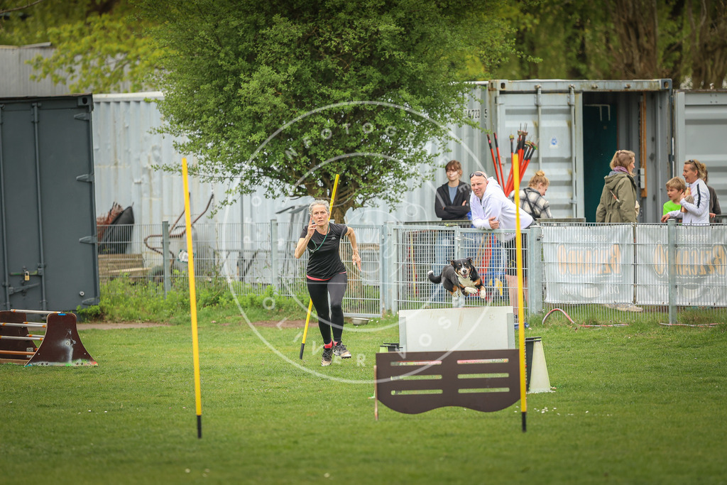 Pfotenfotografie_0L8A1964 | Hundefotografie, Tierfotograf, Pfotenfotografie, Fotoshooting Hund, Hunde Portrait, Hundesport, Hundeportraits, Heideshooting, Hunde, Sportfotograf, Hundefotograf, Turnierhundsport, THS,  - Realisiert mit Pictrs.com