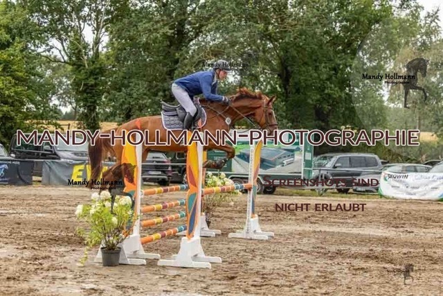 26-8-7 SPR L-195 | mandyhollmannphotographie
