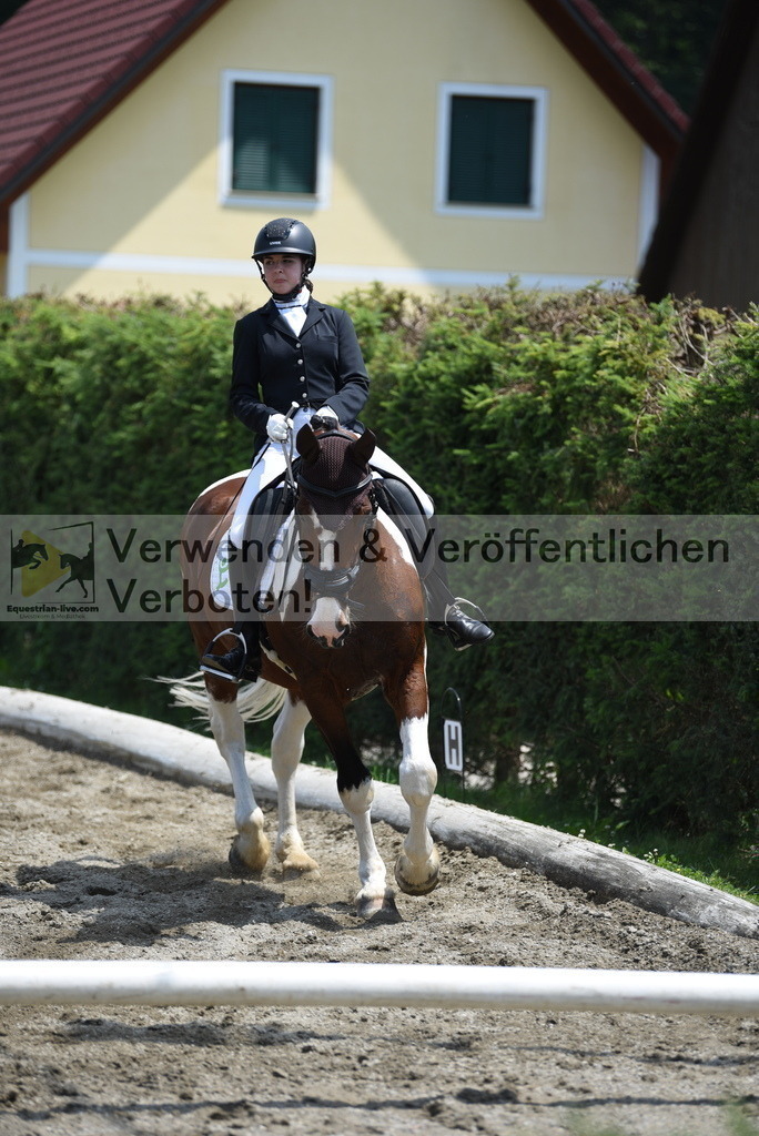 DSC_9714 | equestrian-live-com