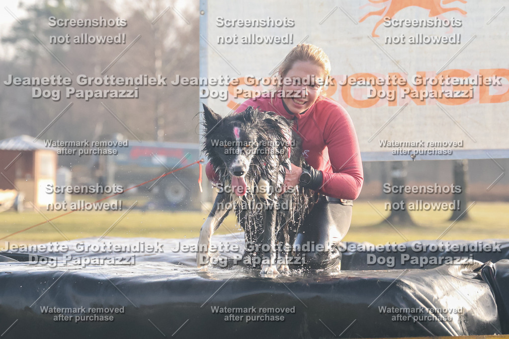 Dog Paparazzi - SD North 0326 900930-45 | Dog Paparazzi Jeanette Grottendiek Fotografie & Videografie - Realisiert mit Pictrs.com