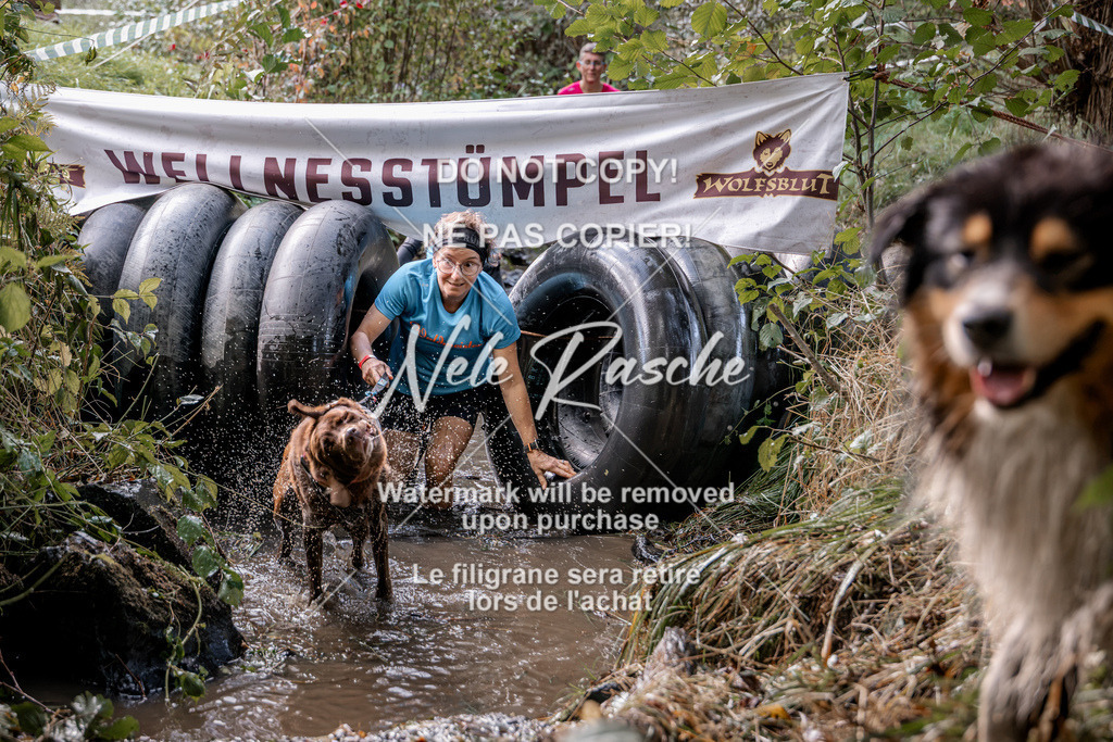 nelerasche_Hunsrück2026_Sa1400-1500_100 | nelerasche