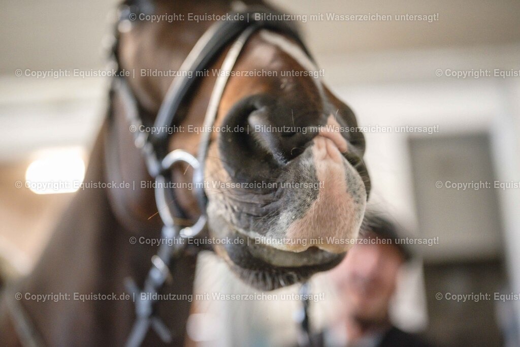 20251011_Jagd-Marbach_0066 | Foto: Thomas Hartig