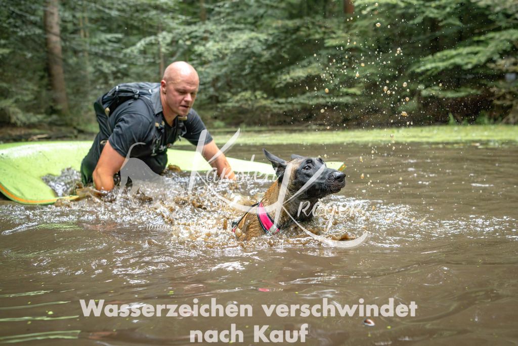 1541_ZZ91876-Bearbeitet | kk-dogfotos