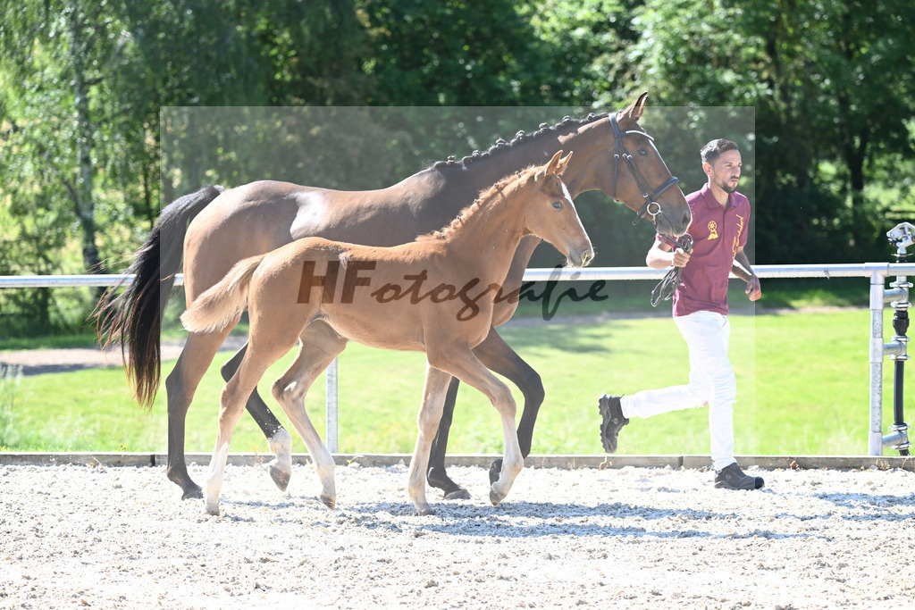 Kat-Nr. 2 SF Forlee_Foth_16230074 | hf-fotografie - Realisiert mit Pictrs.com