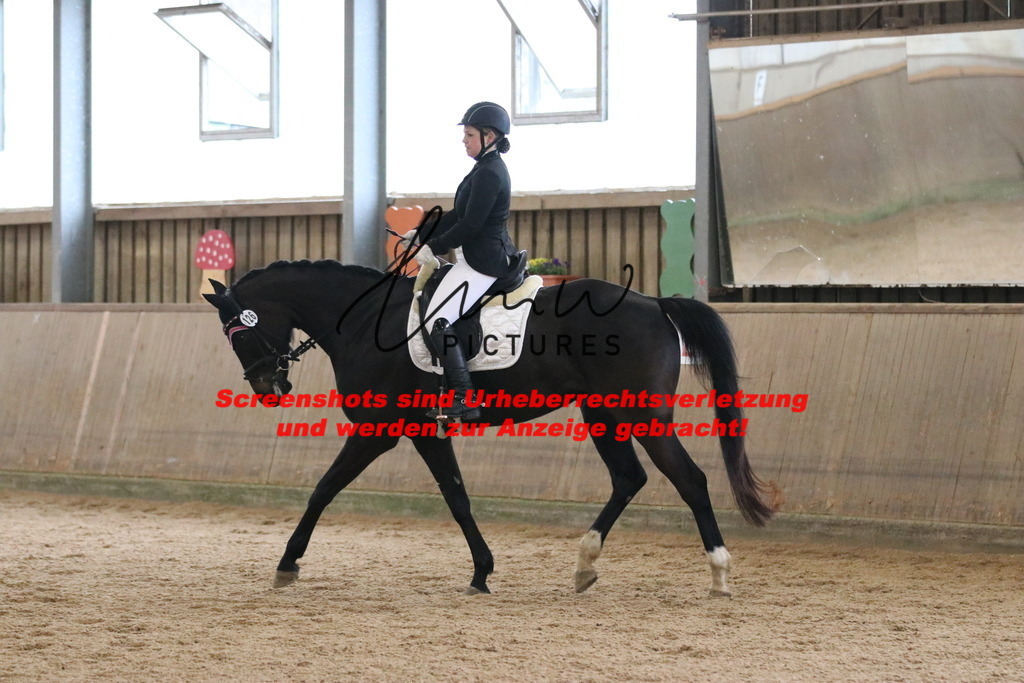 IMG_6487 | lmwpictures - Realisiert mit Pictrs.com