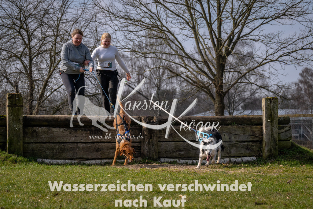 _ZZ90598 | kk-dogfotos