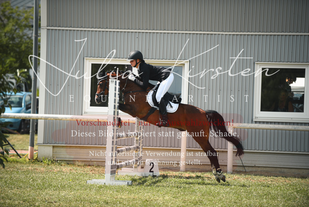 DSC_6796 | Pferde- und Turnierfotografie in Westsachsen. Pferdeportraits, Auftragszeichnungen und intuitive Kunst.