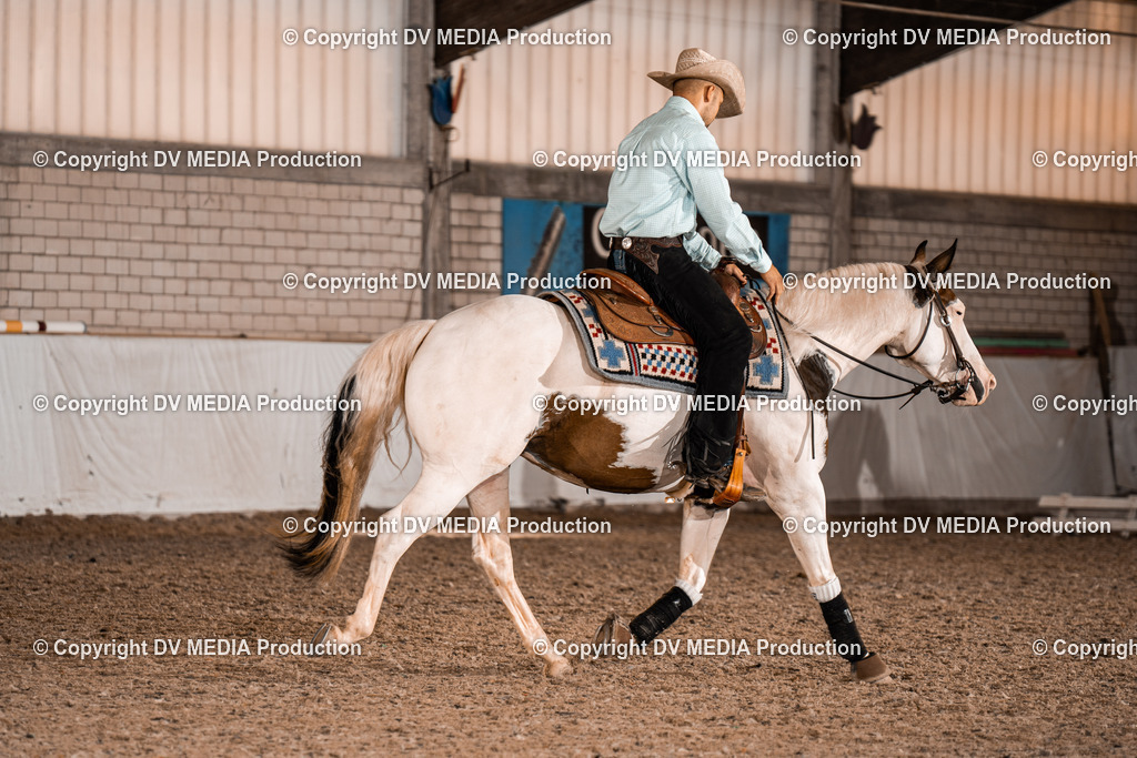 ZH300204 | dv-media-shop - Realisiert mit Pictrs.com