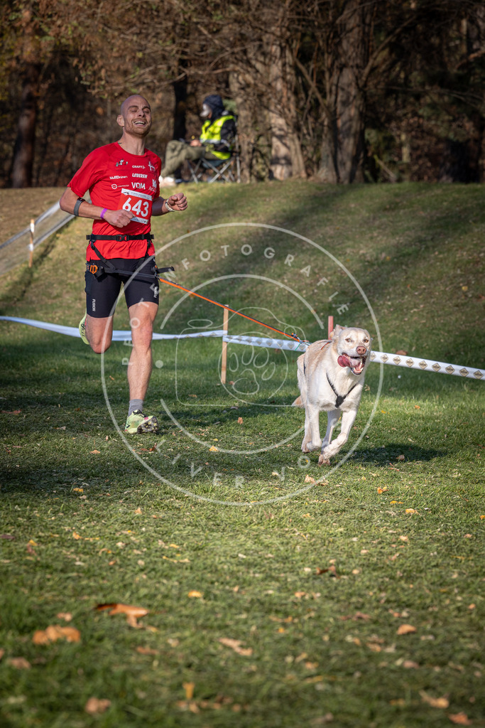 CaniXpix_0L8A9064 | Hundefotografie, Tierfotograf, Pfotenfotografie, Fotoshooting Hund, Hunde Portrait, Hundesport, Hundeportraits, Heideshooting, Hunde, Sportfotograf, Hundefotograf, Turnierhundsport, THS,  - Realisiert mit Pictrs.com