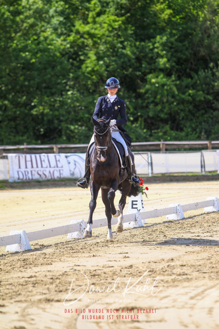 DKP46503 | Turniersportfotografie; Pferdefotografie; Dressurfotografie