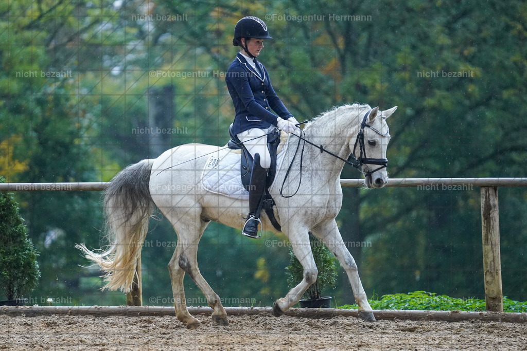 20221008-FAH02200 | Diessen am Ammersee, 2022, Dressur- und Springturnier, Reitsportbilder, Turnierfotografen Bayern, Pferdefotografen, Fotoagentur Herrmann, Turnierbilder