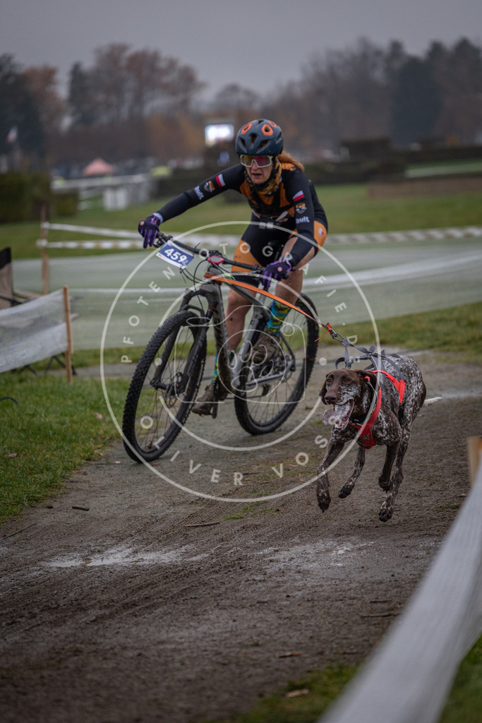 CaniXpix_0L8A1576 | Hundefotografie, Tierfotograf, Pfotenfotografie, Fotoshooting Hund, Hunde Portrait, Hundesport, Hundeportraits, Heideshooting, Hunde, Sportfotograf, Hundefotograf, Turnierhundsport, THS,  - Realisiert mit Pictrs.com