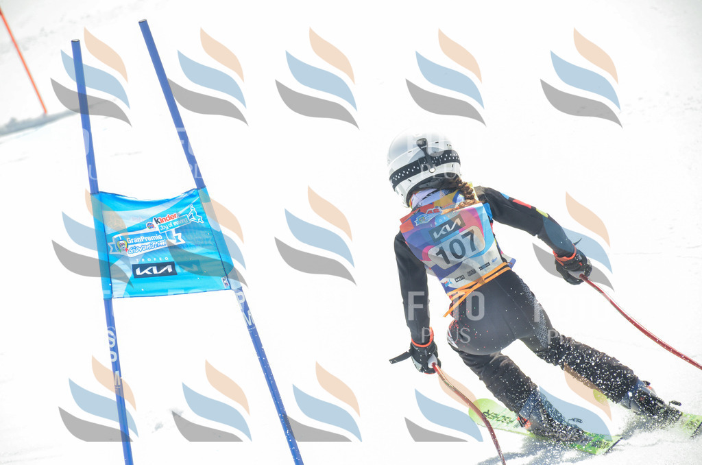 _ELE5865 | holidayphoto