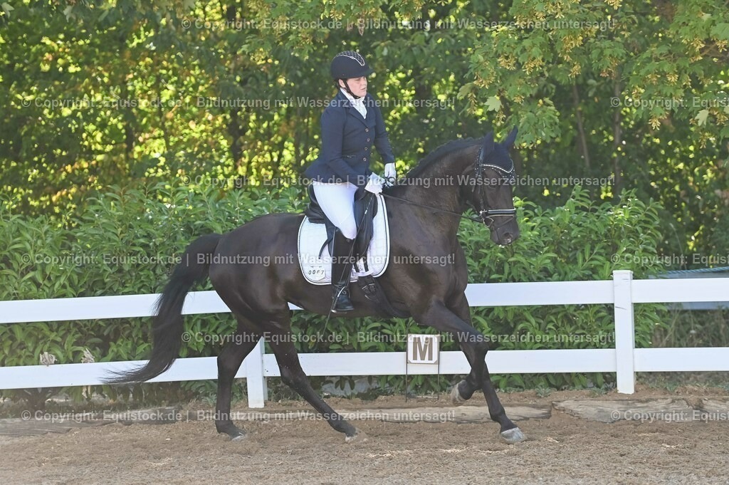 20230715_06_Dressurpferdeprfg. Kl.A_0179 | equistock