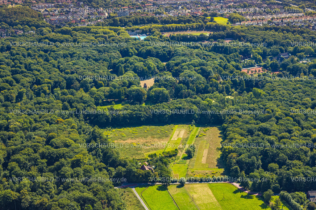 Gladbeck250800549 | Luftbild, Wiesenfläche und Wald Harsewinkelstraße Ecke Ellinghorster Straße, Wohnhaus, Gladbeck, Ruhrgebiet, Nordrhein-Westfalen, Deutschland