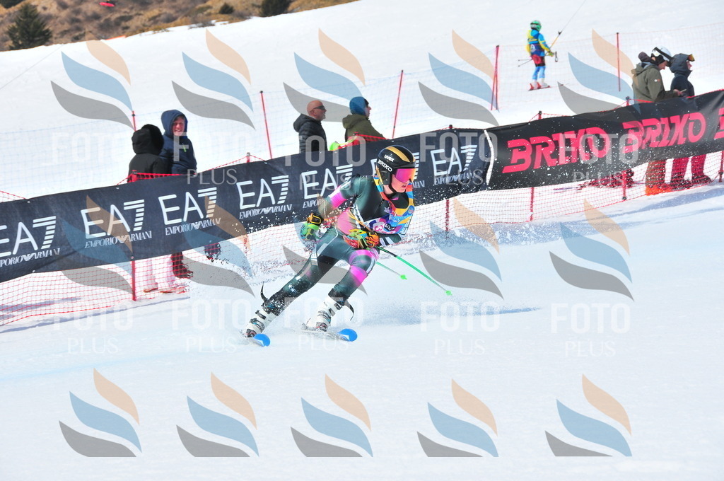 DSC_6884 | holidayphoto