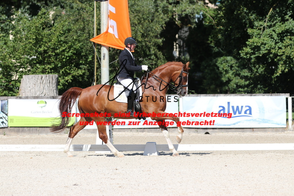 IMG_5452 | lmwpictures - Realisiert mit Pictrs.com